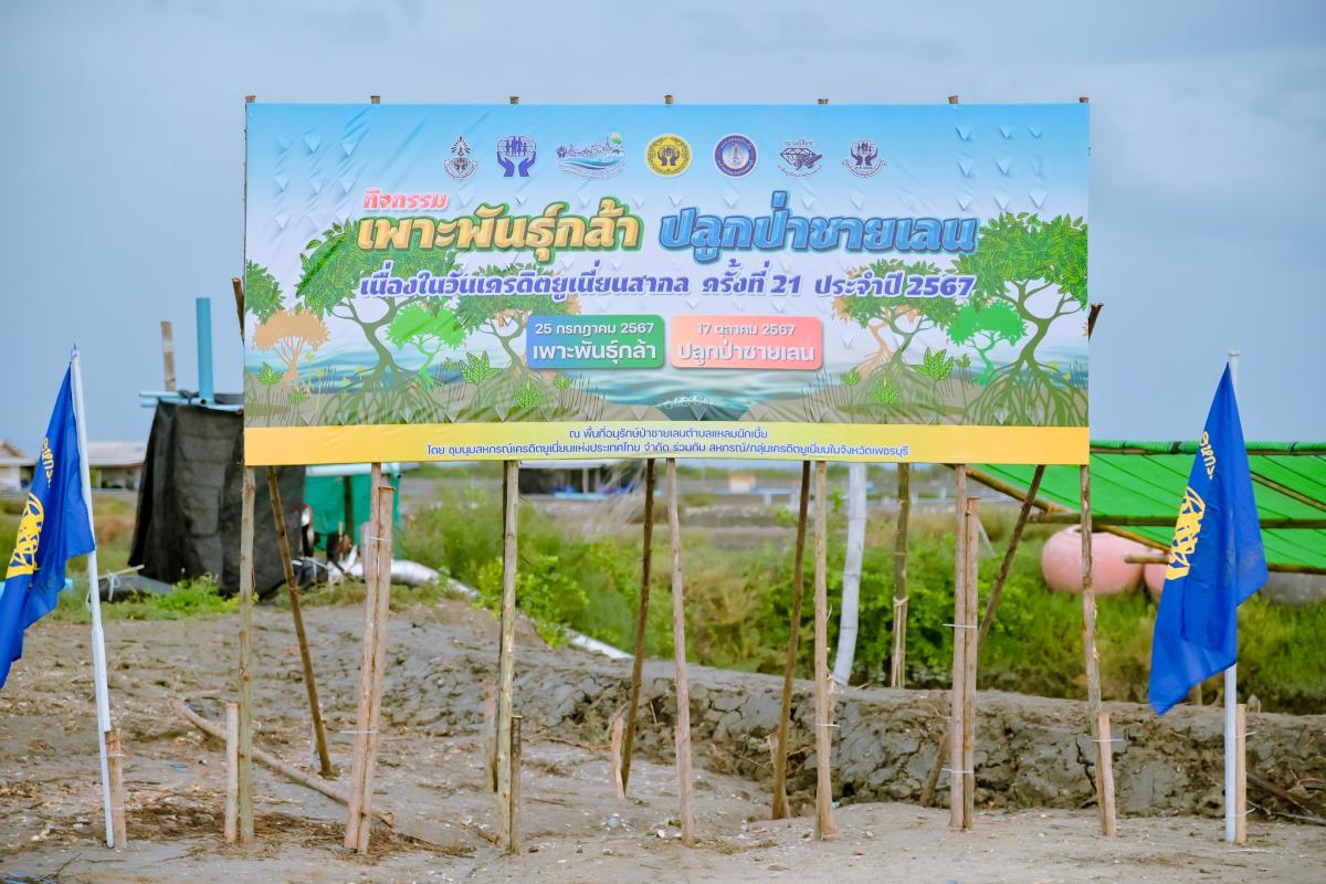 งานCU กิจกรรมเพาะพันธุ์กล้า ปลูกป่าชายเลน