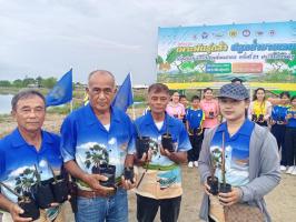 งานCU กิจกรรมเพาะพันธุ์กล้า ปลูกป่าชายเลน